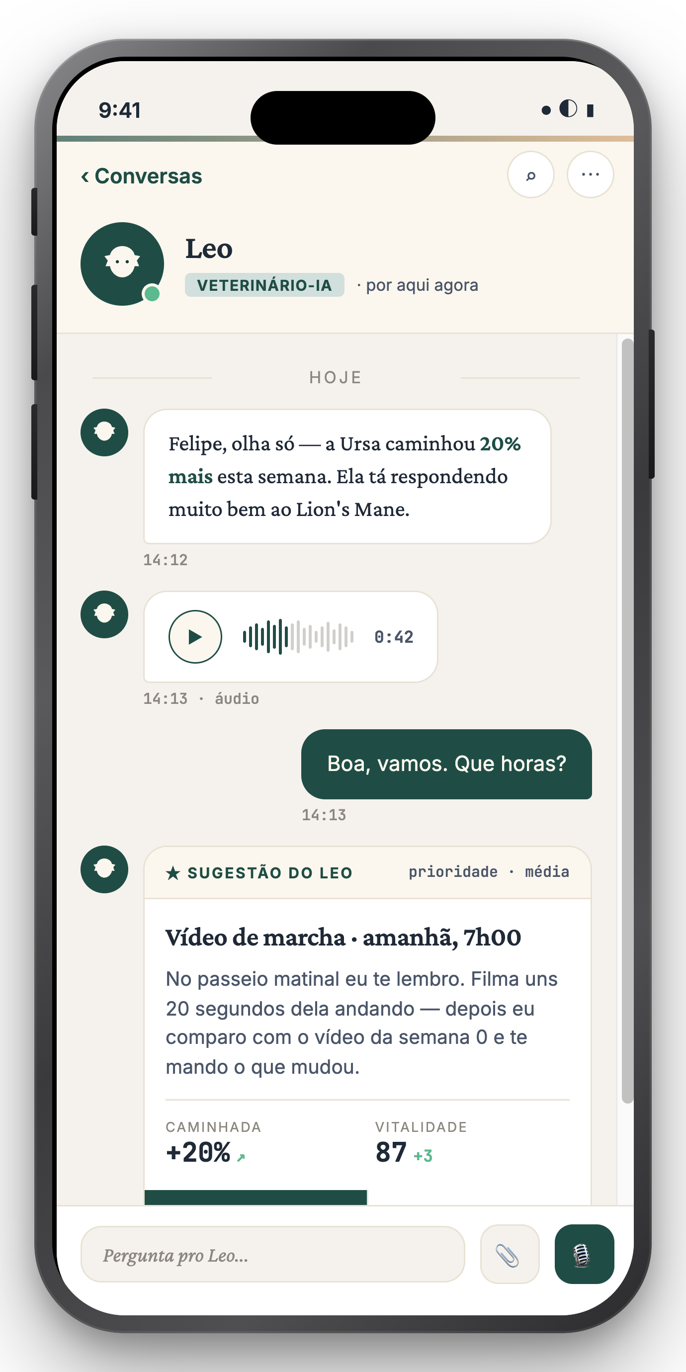Adorables — tela de chat com vet